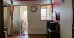 1 BHK Flat For Sale in Fursungi Majestique Aqua Society