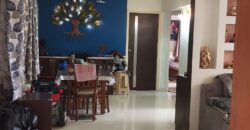 2 BHK Flat For Sale in Hadapsar Kubera Sankul