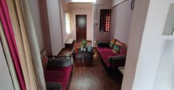 2 BHK Flat for Sale in Sasane Nagar Dhanlaxmi Krupa Apartment