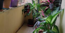 2 BHK Flat for Sale in Madadev Nagar Narayan Park