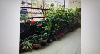 2 BHK Flat For Sale