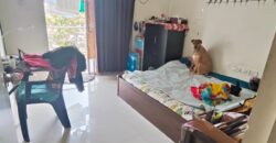 1 BHK Flat For Sale