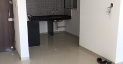 1 BHK Flat For Sale