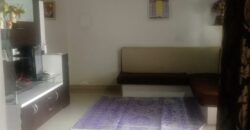 1 BHK Flat for Sale