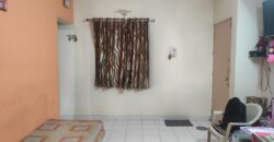 1BHK Flat For Sale