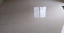 1 BHK Flat For Sale